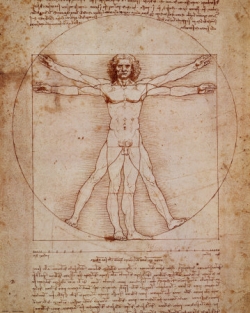 vitruvian-man-da-vinci