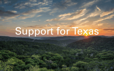 Hill Country Floods in Texas – Note from the Chair